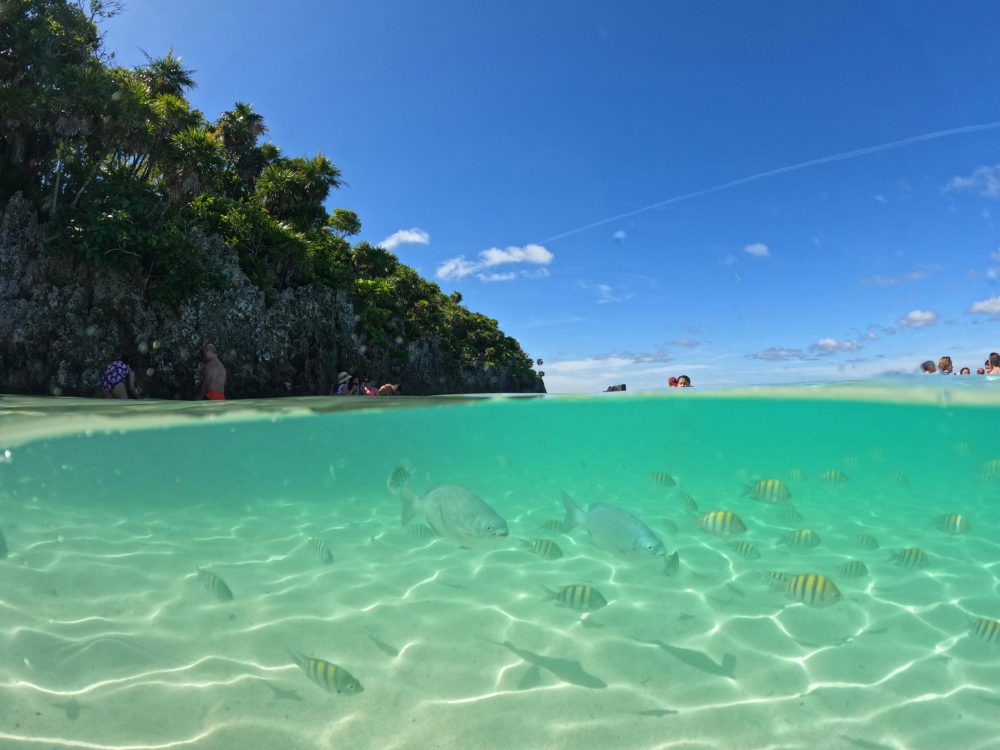 Bayøerne i Honduras – Tropisk Eventyr