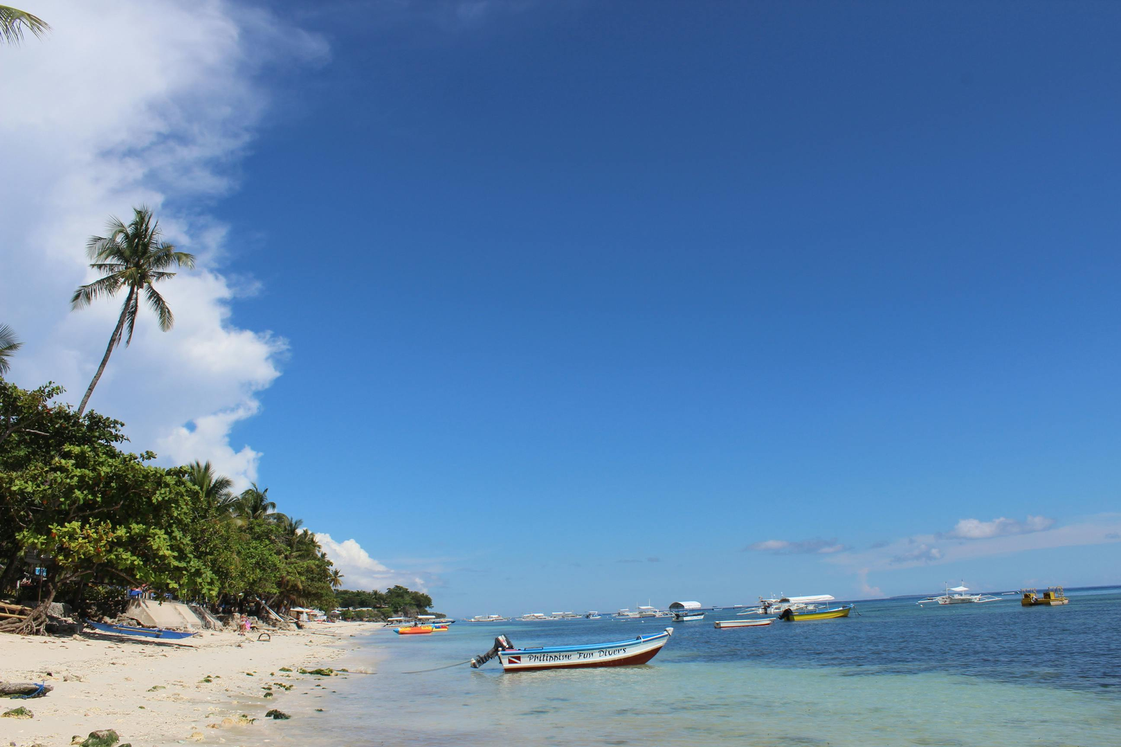 Bohol – Filippinernes Tropiske Naturperle