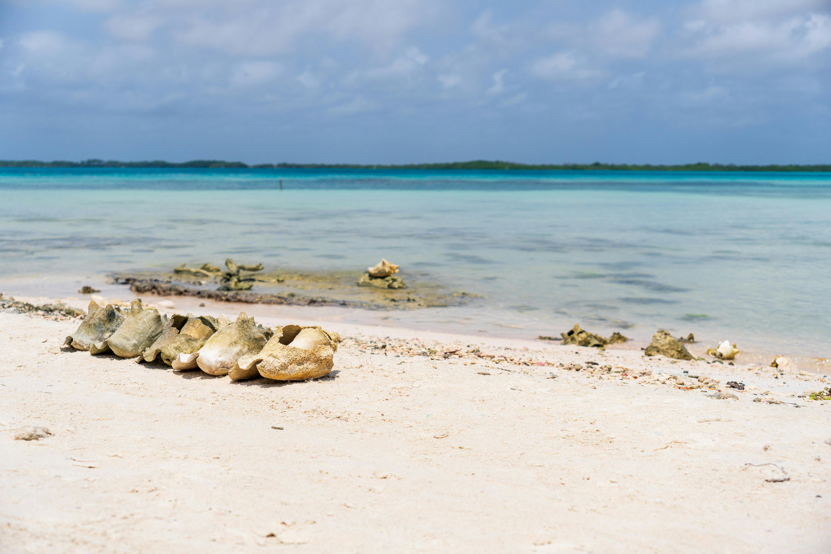 Bonaire – Caribiens skjulte dykkerparadis