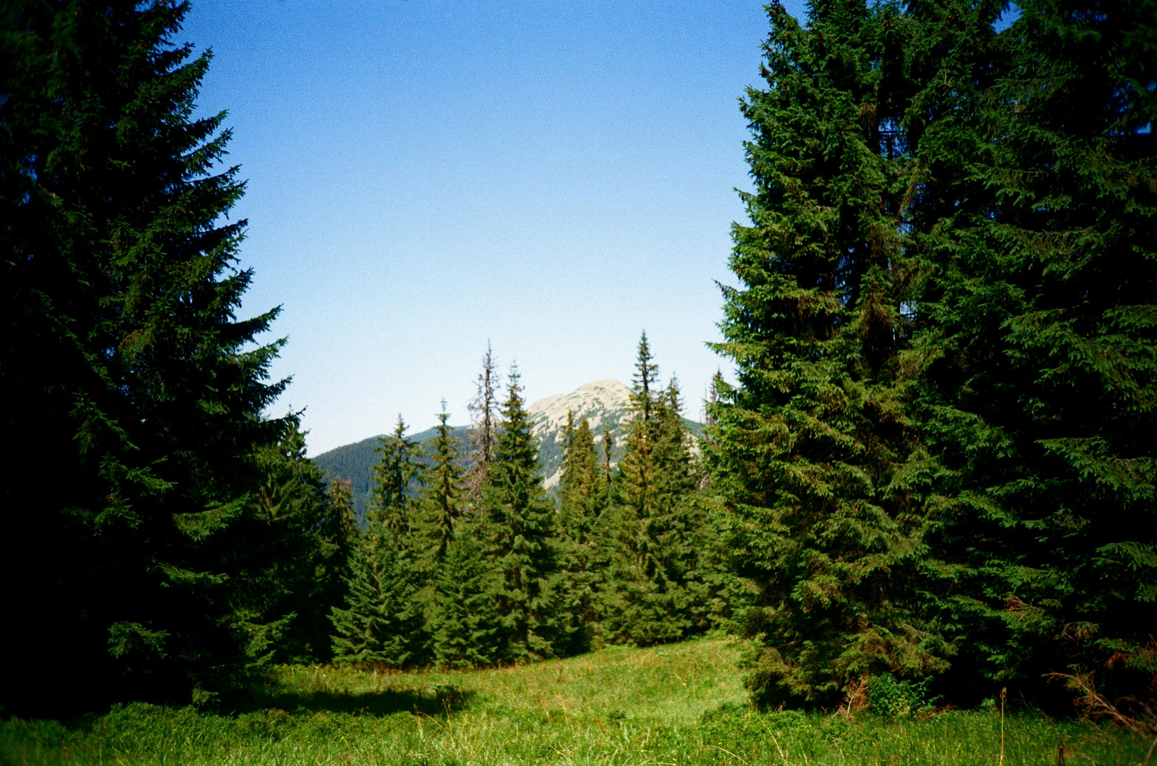 Bukovel scene 2