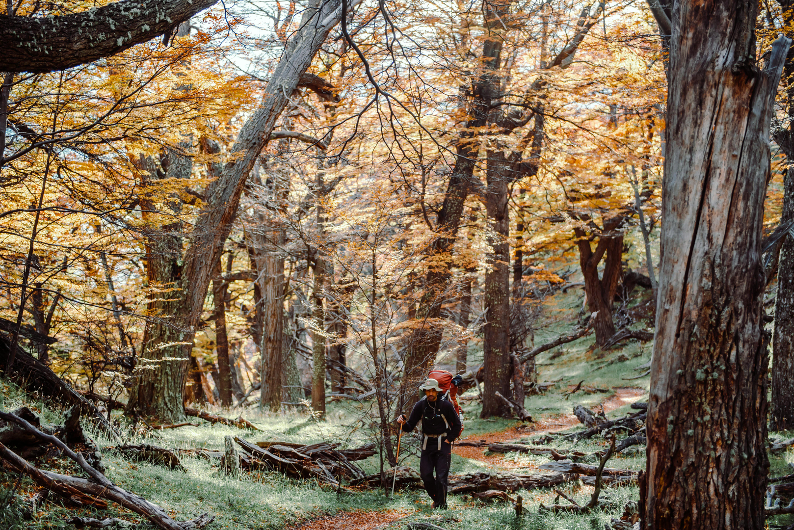 Vandringens Hovedstad scene 3