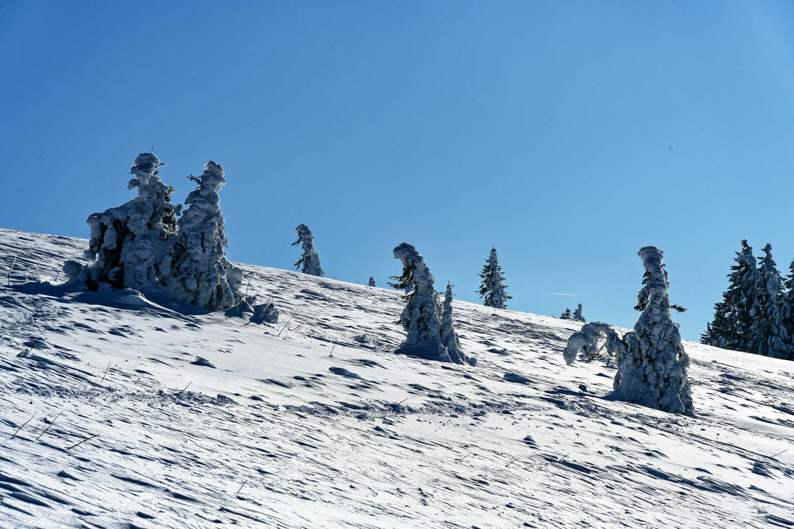 Feldberg Schwarzwald Ski scene 3