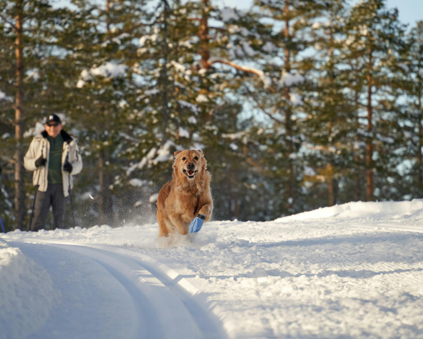 Familievenlig Ski i Gålå