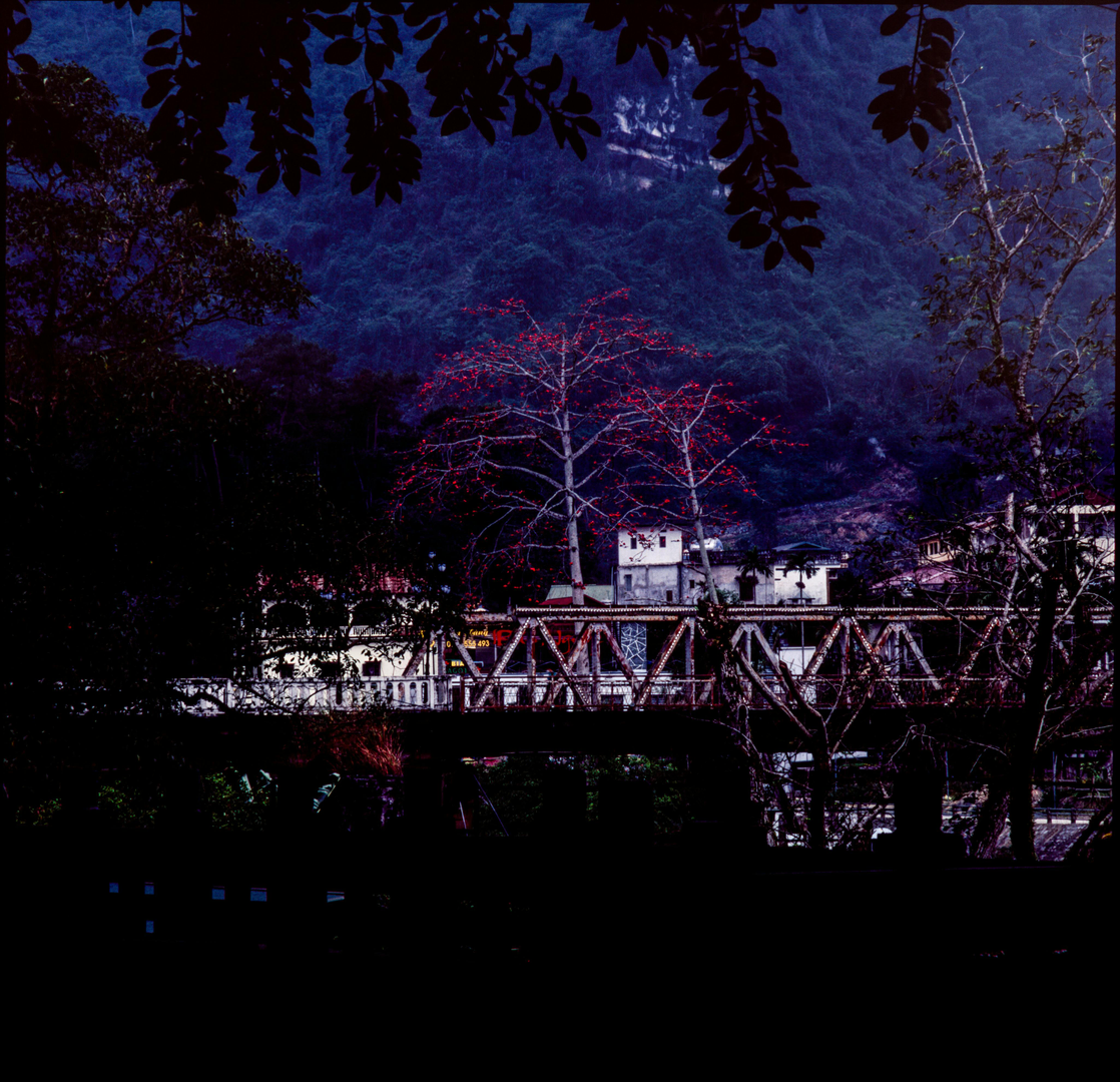 Ha Giang: Vietnams skjulte perle med betagende landskaber