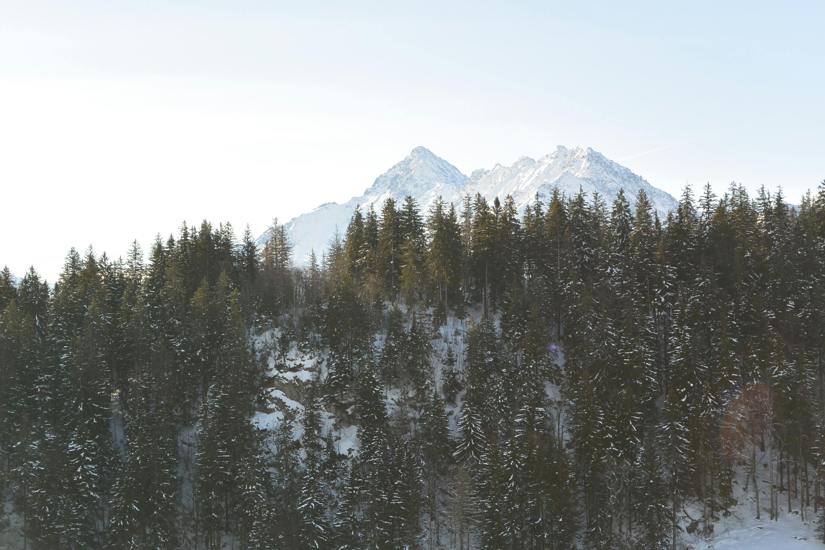 Alpeidyl scene 2