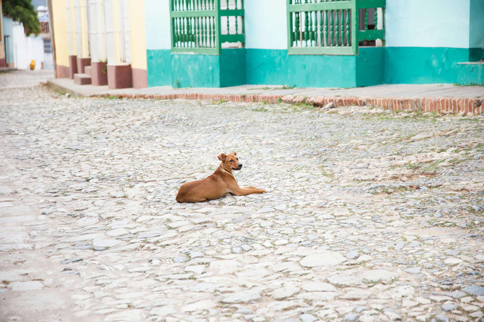 Caribisk Charme scene 2