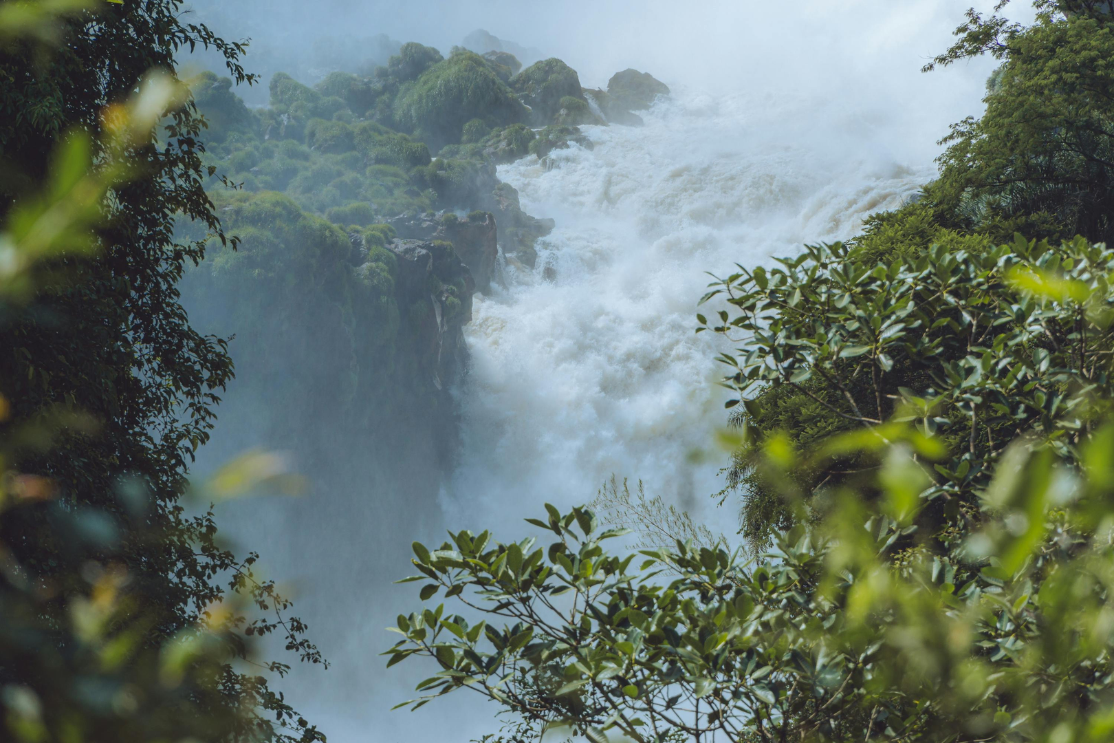 Iguazú-vandfaldene: Naturens Storslåede Vidunder