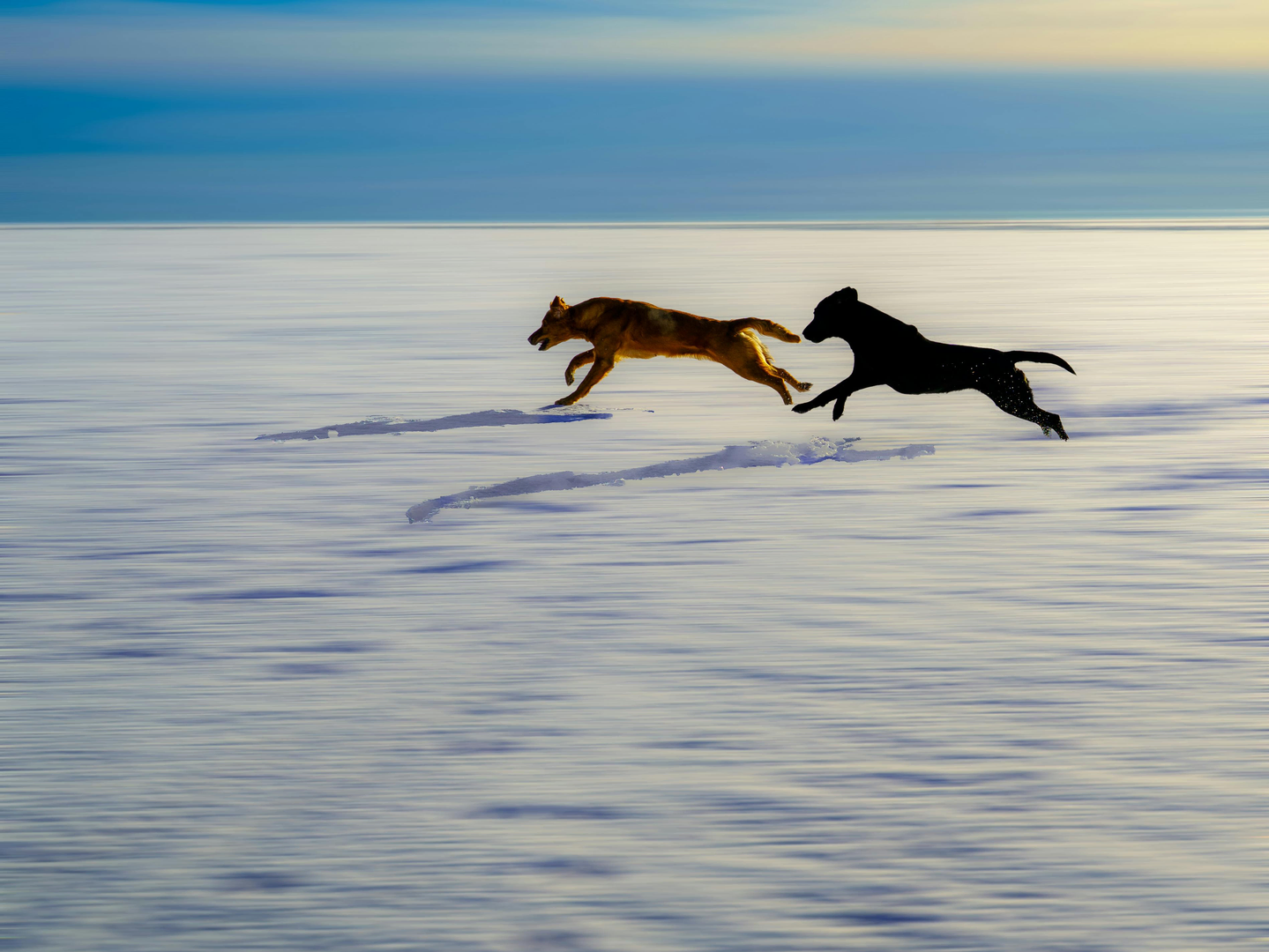 Nordisk Natur