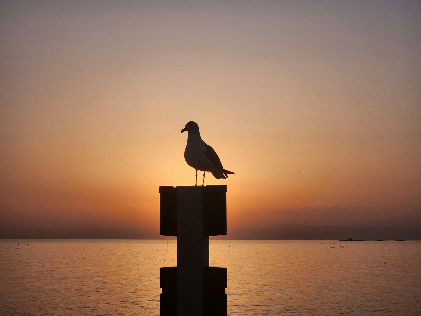 Oplev Incheons Skønne Strande: En Guide til Sydkoreas Kystperle