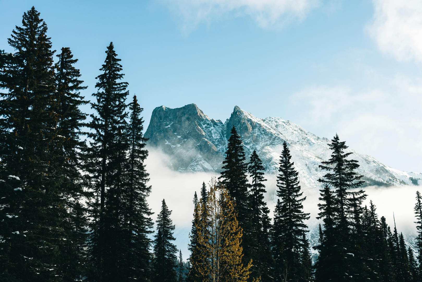 Naturens Eventyr