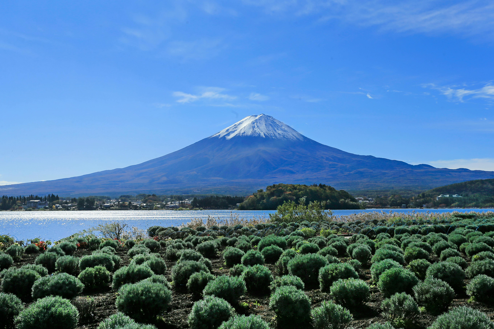Kagoshima: Vulkaner, Haver og Japansk Kultur