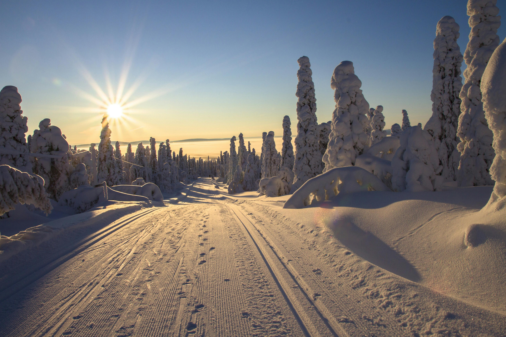 Nordlys Ski scene 3