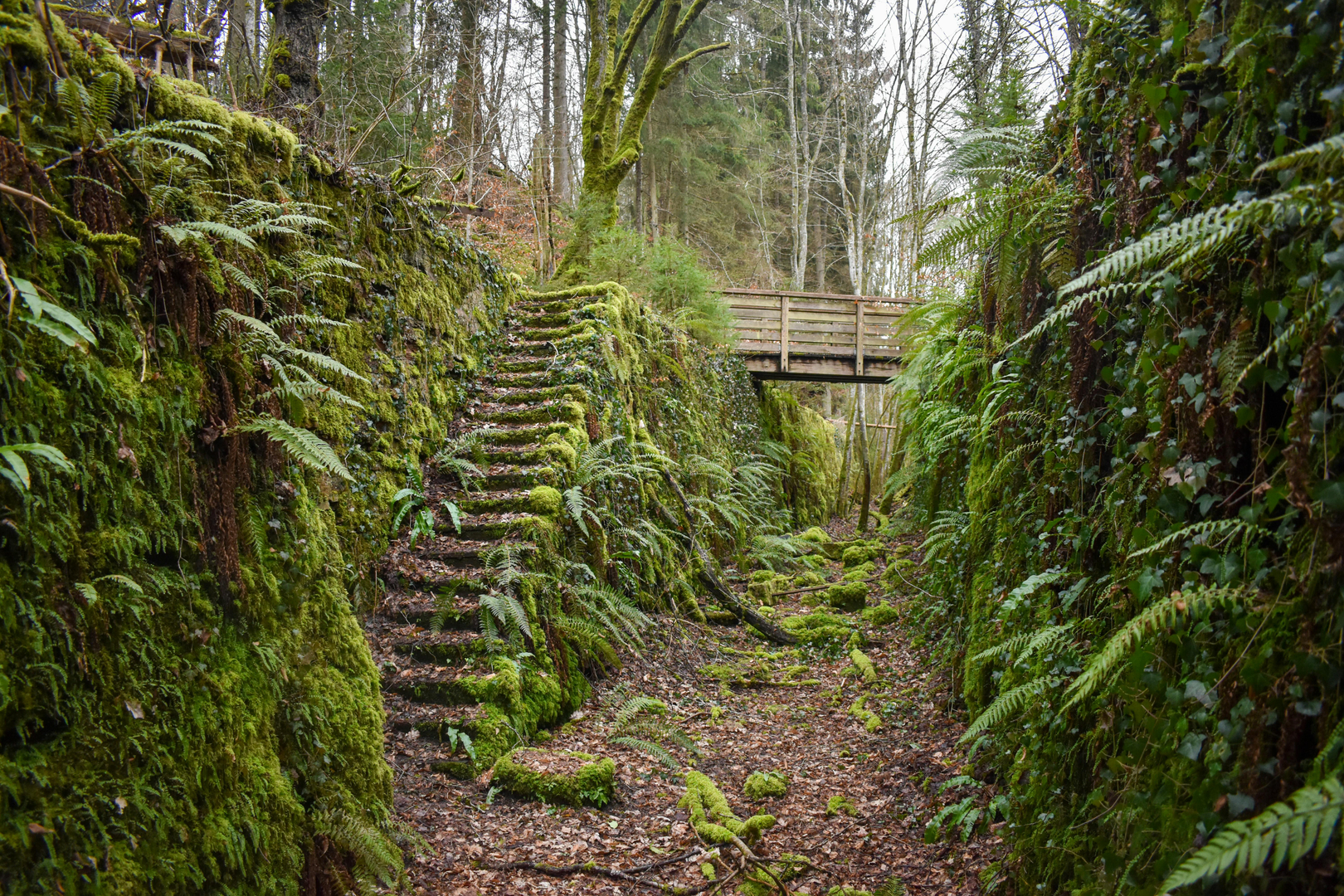 Luxembourg By – Historie og Elegance på Klippetop