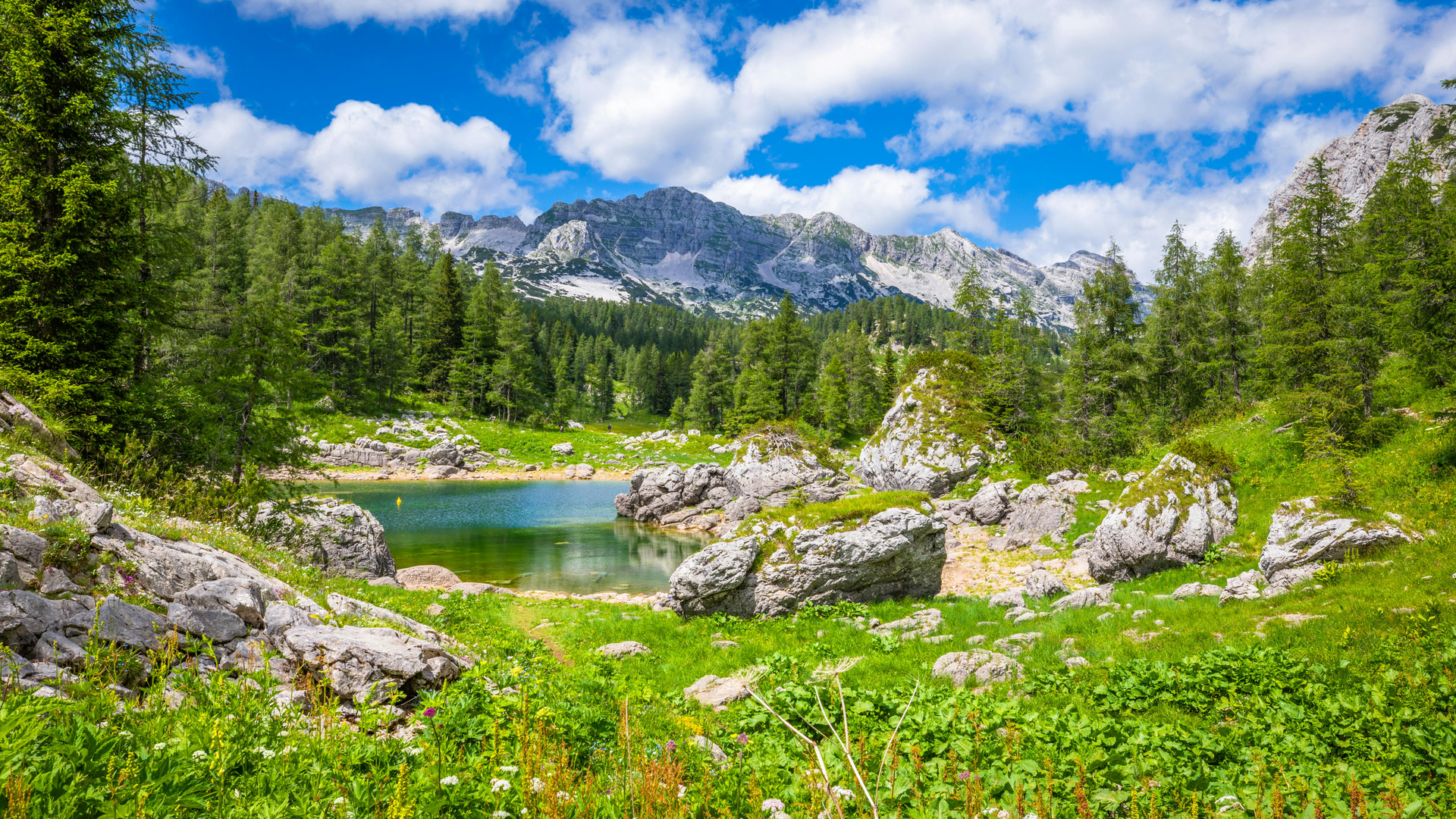 Mala Planina scene 3