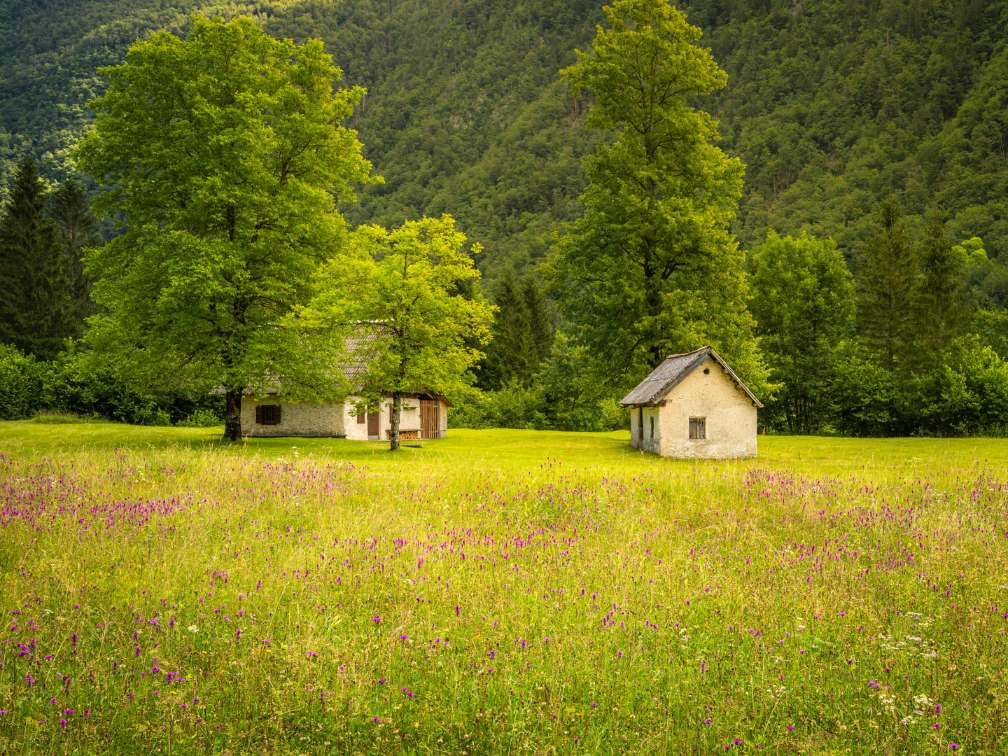 Mala Planina