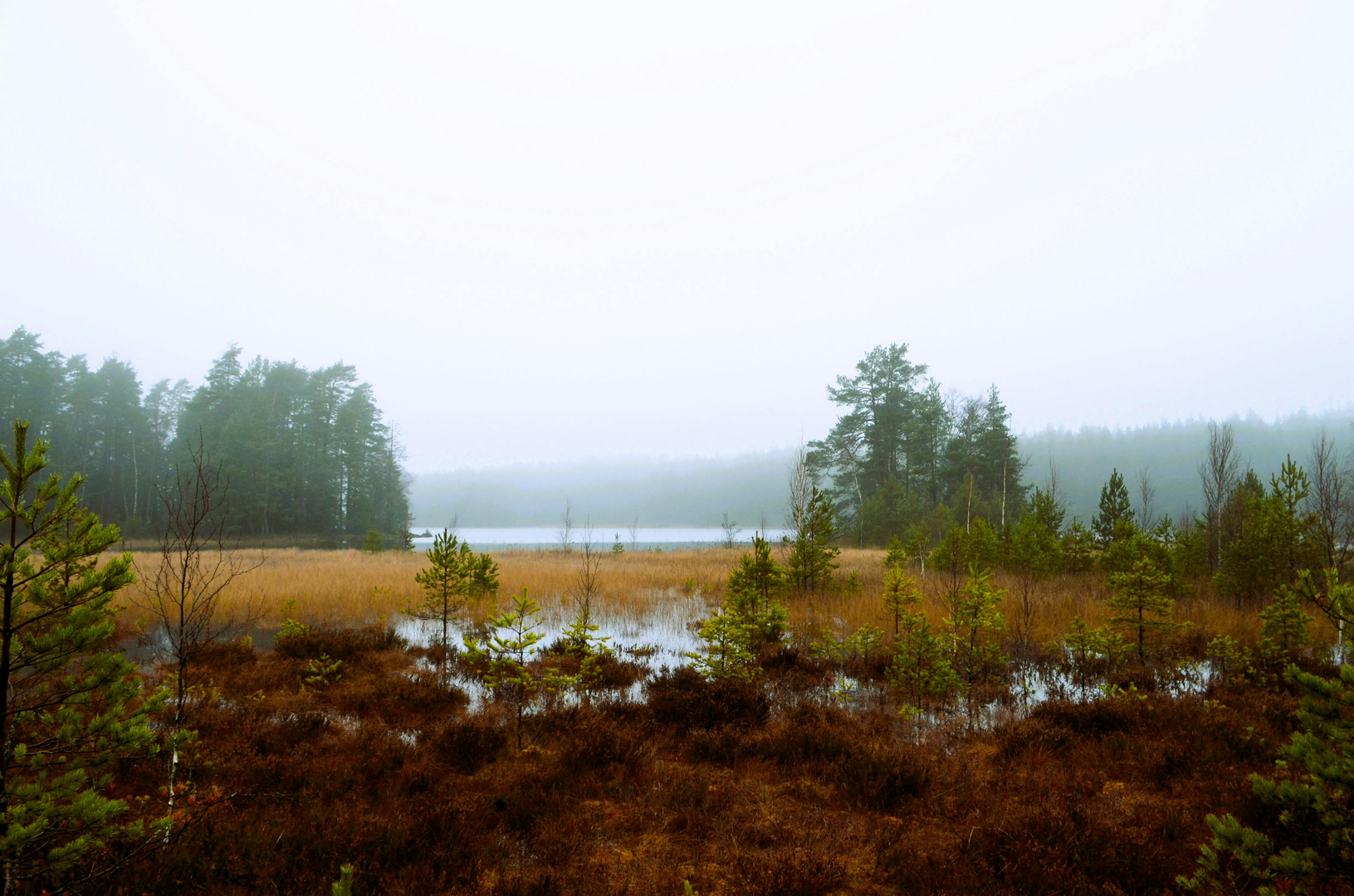 Nuuksio National Park