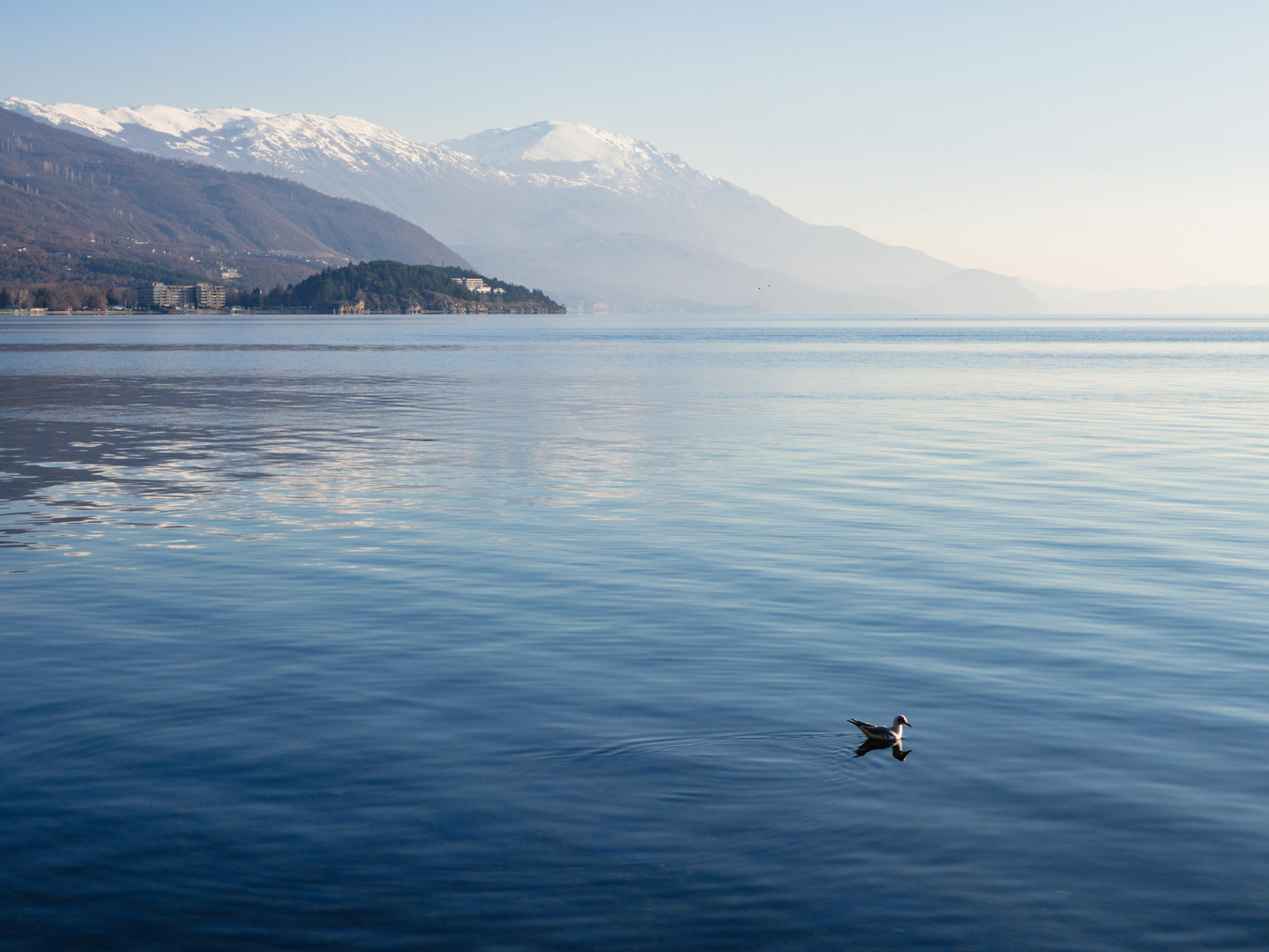 Ohrid – Balkans Historiske Perle ved Søen