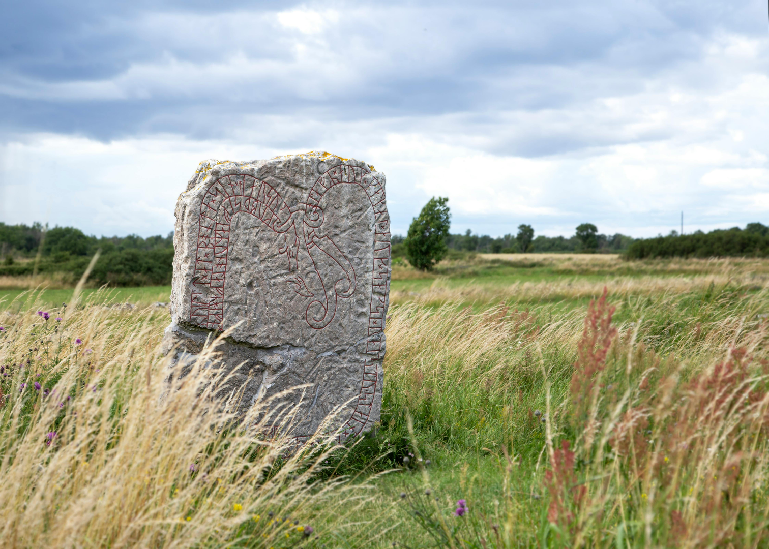 Øland – Natur, Kultur og Eventyr i Sverige