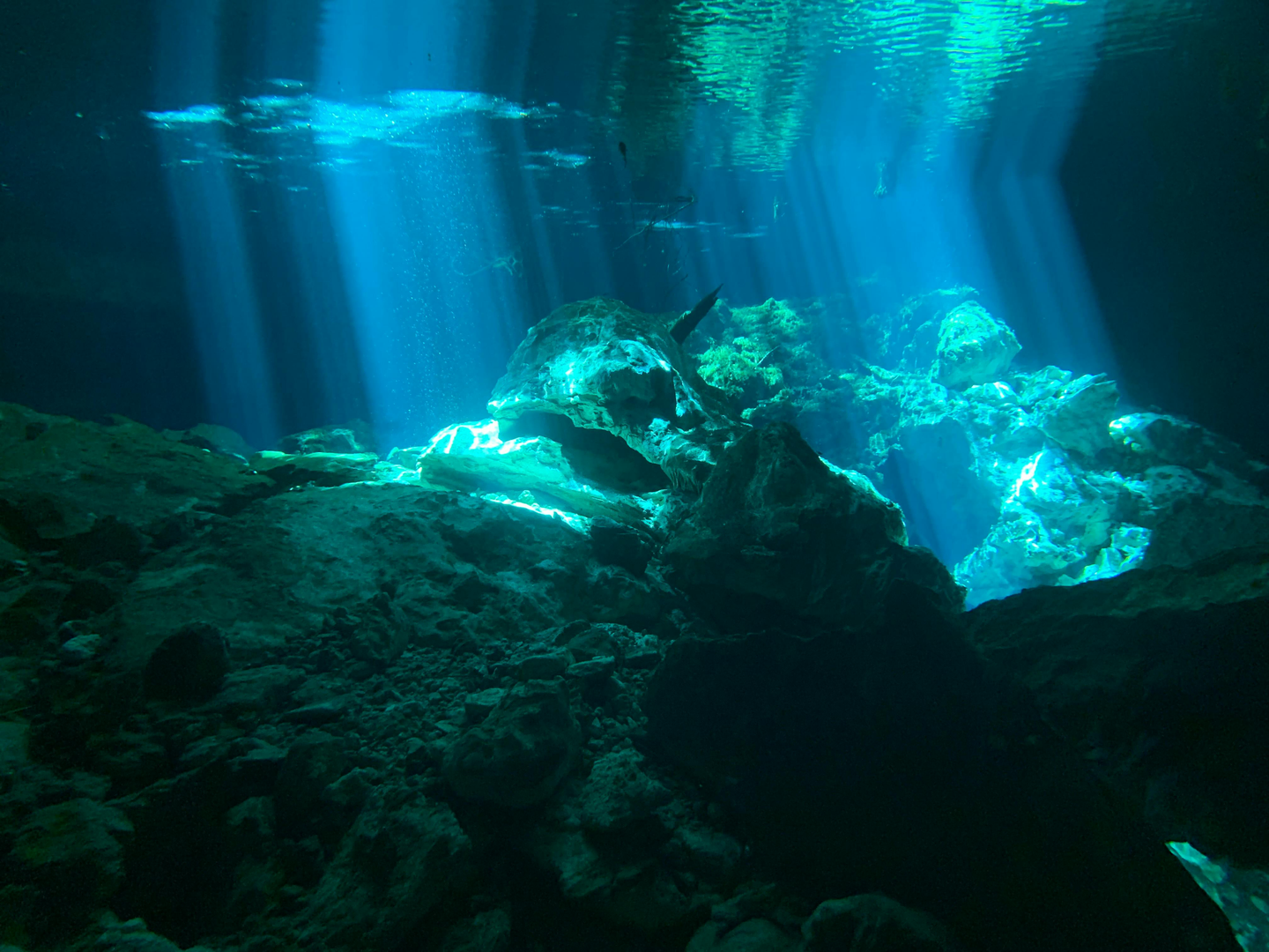 Oplev Palawan: En Rejse til Filippinernes Skjulte Perle og Den Magiske Underjordiske Flod