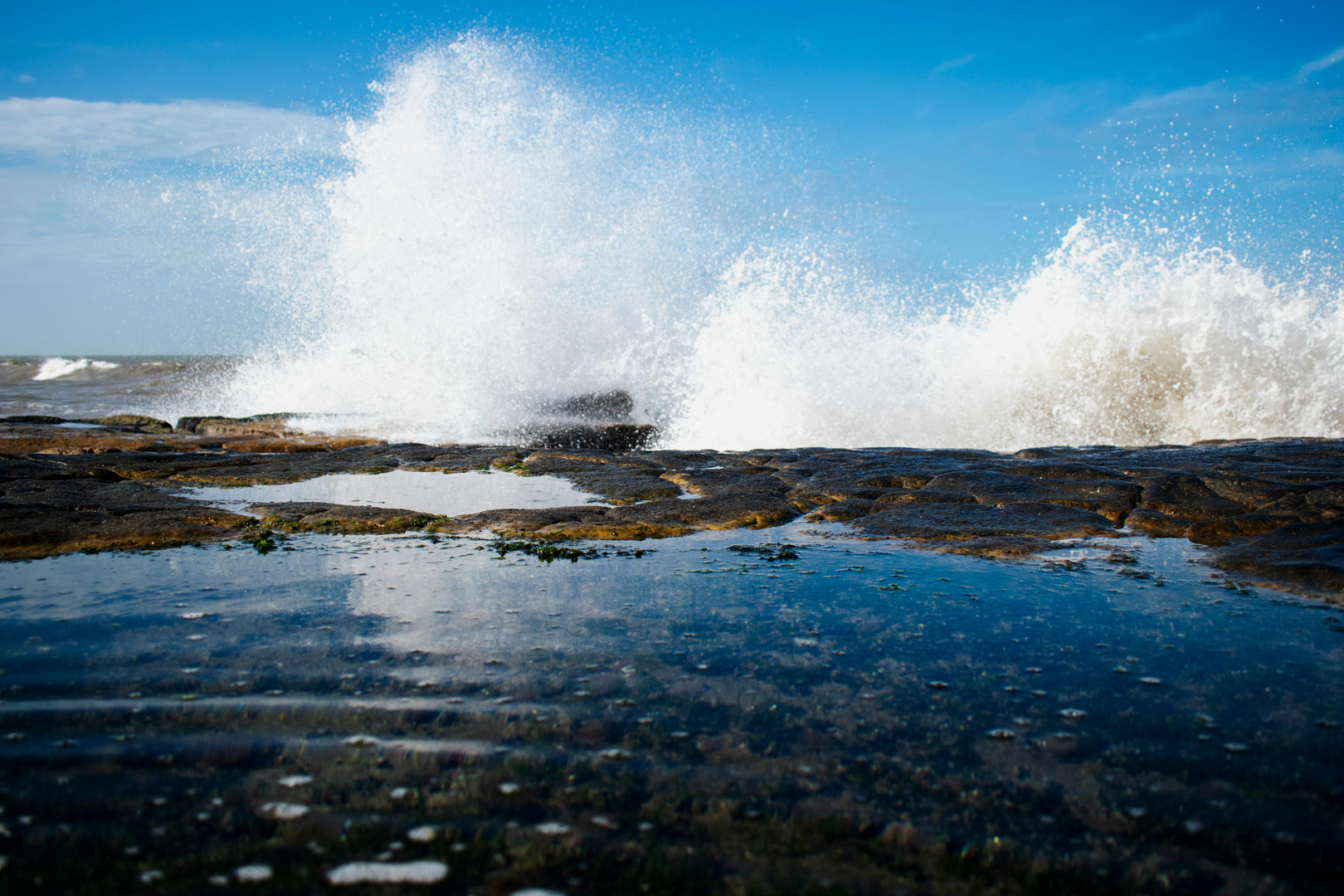 Vild Natur