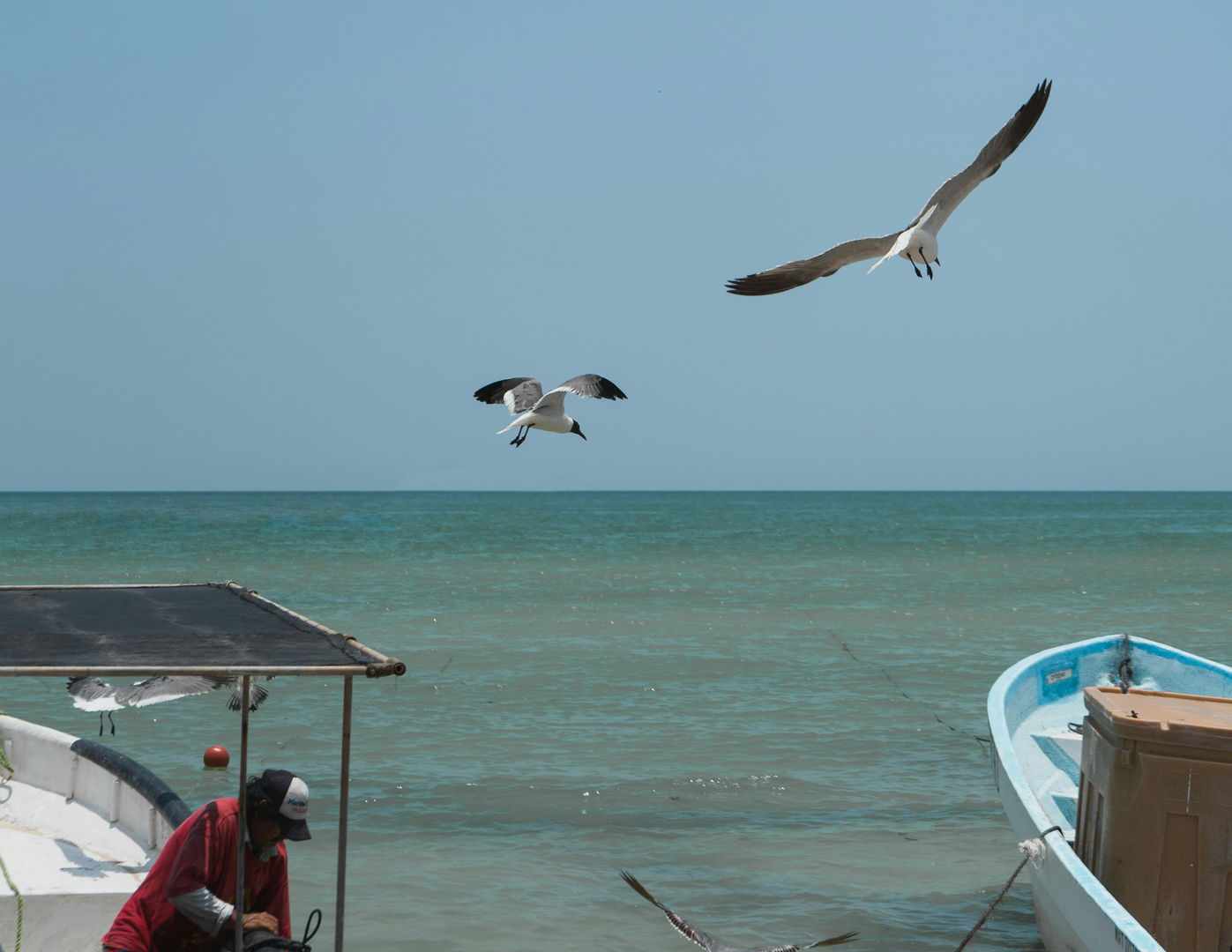 Puerto Rico – Solrig Ferieoase på Gran Canaria