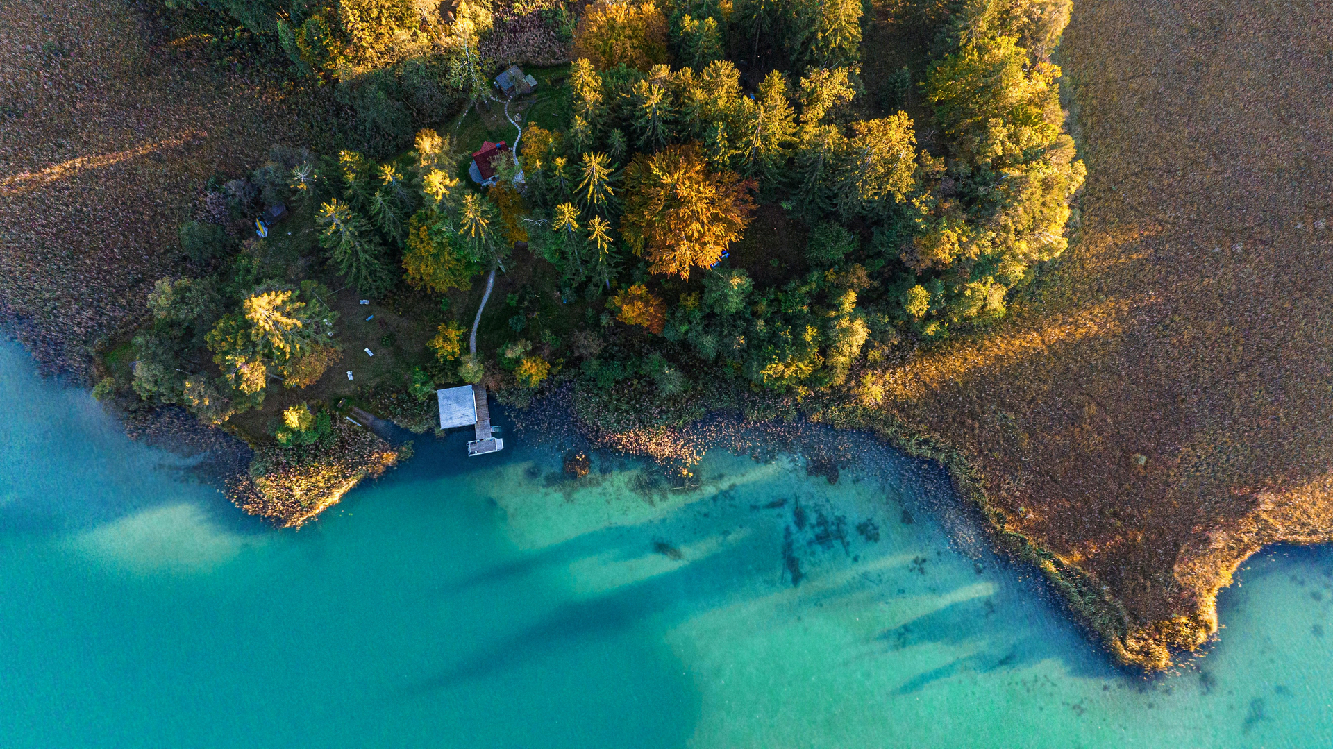 Langlaufparadies scene 3