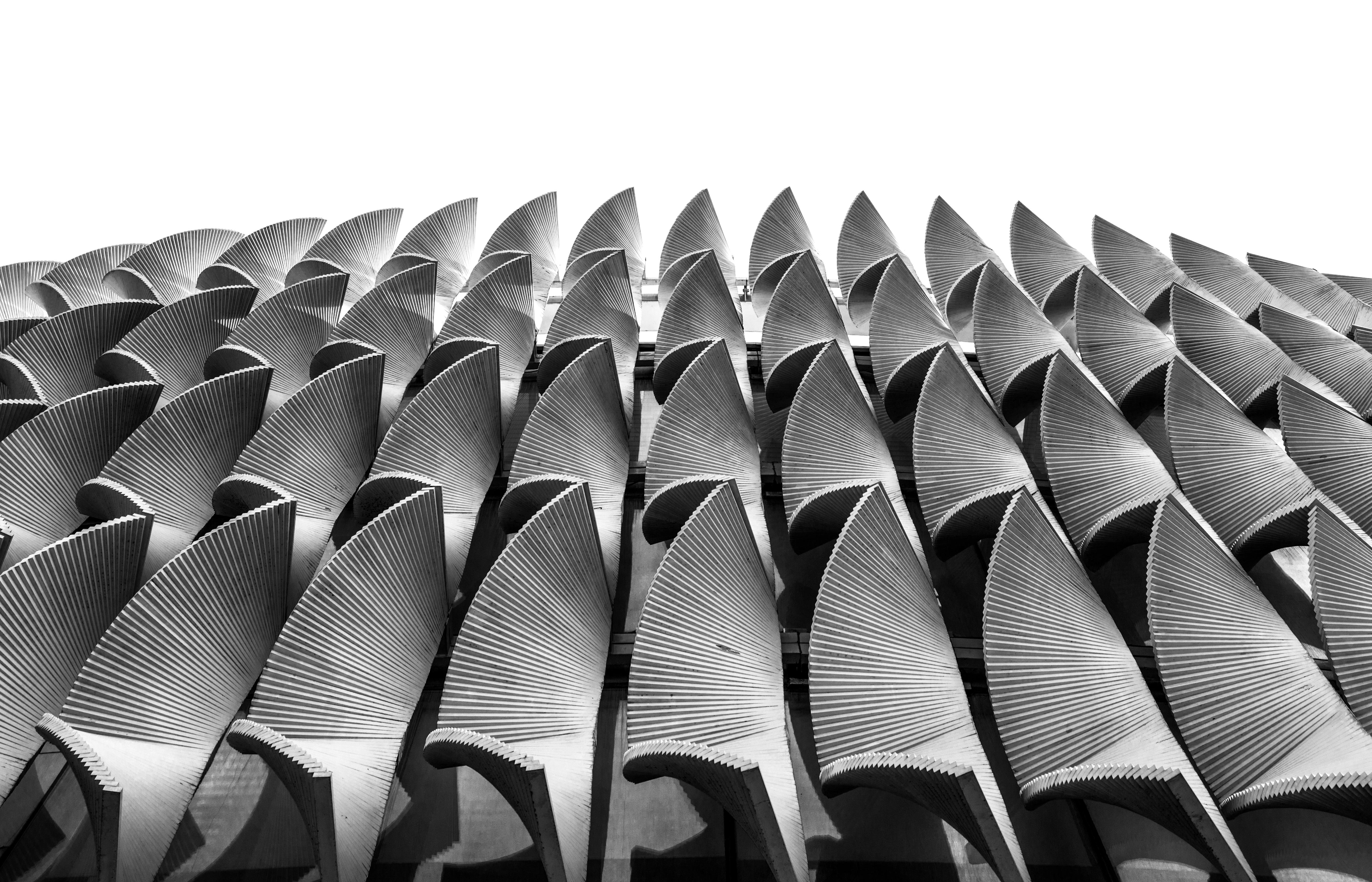 Shiraz – Poeternes og Vinens Perle i Iran