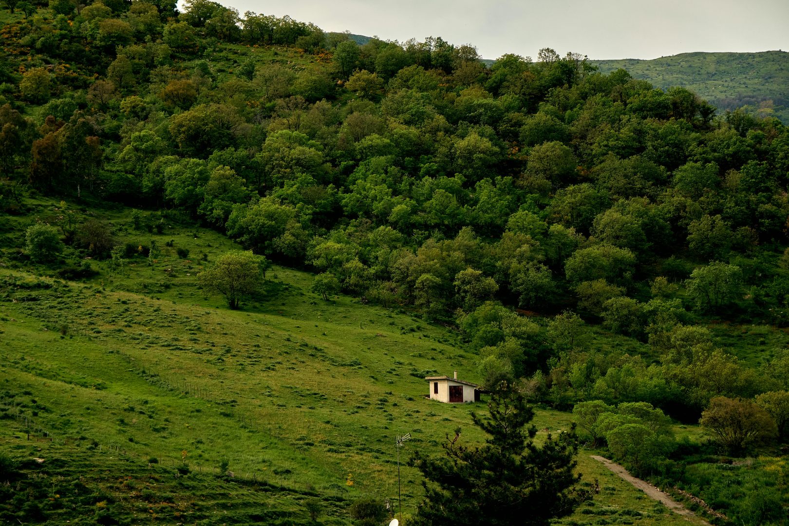 Sicilien – Middelhavets Strålende Juvel