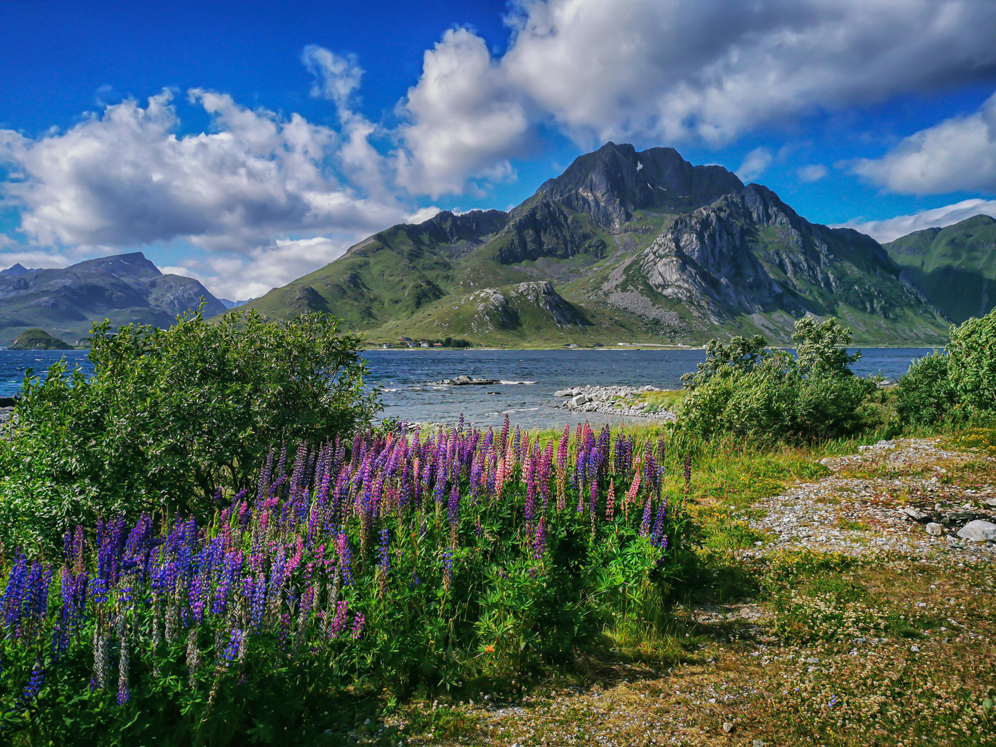 Fjeldoplevelser i Skeikampen