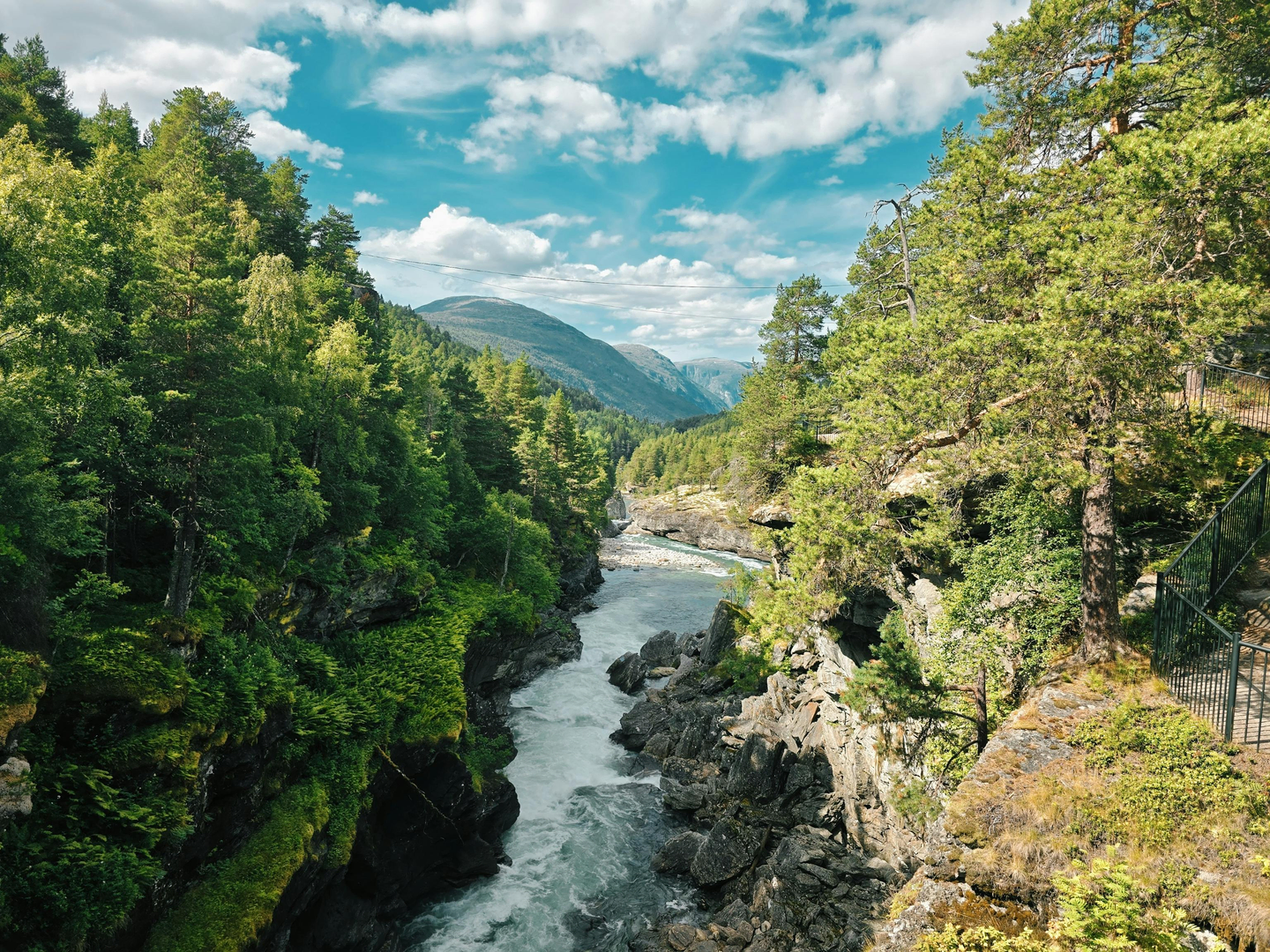 Sognefjord – Kongen af Norges Fjorde