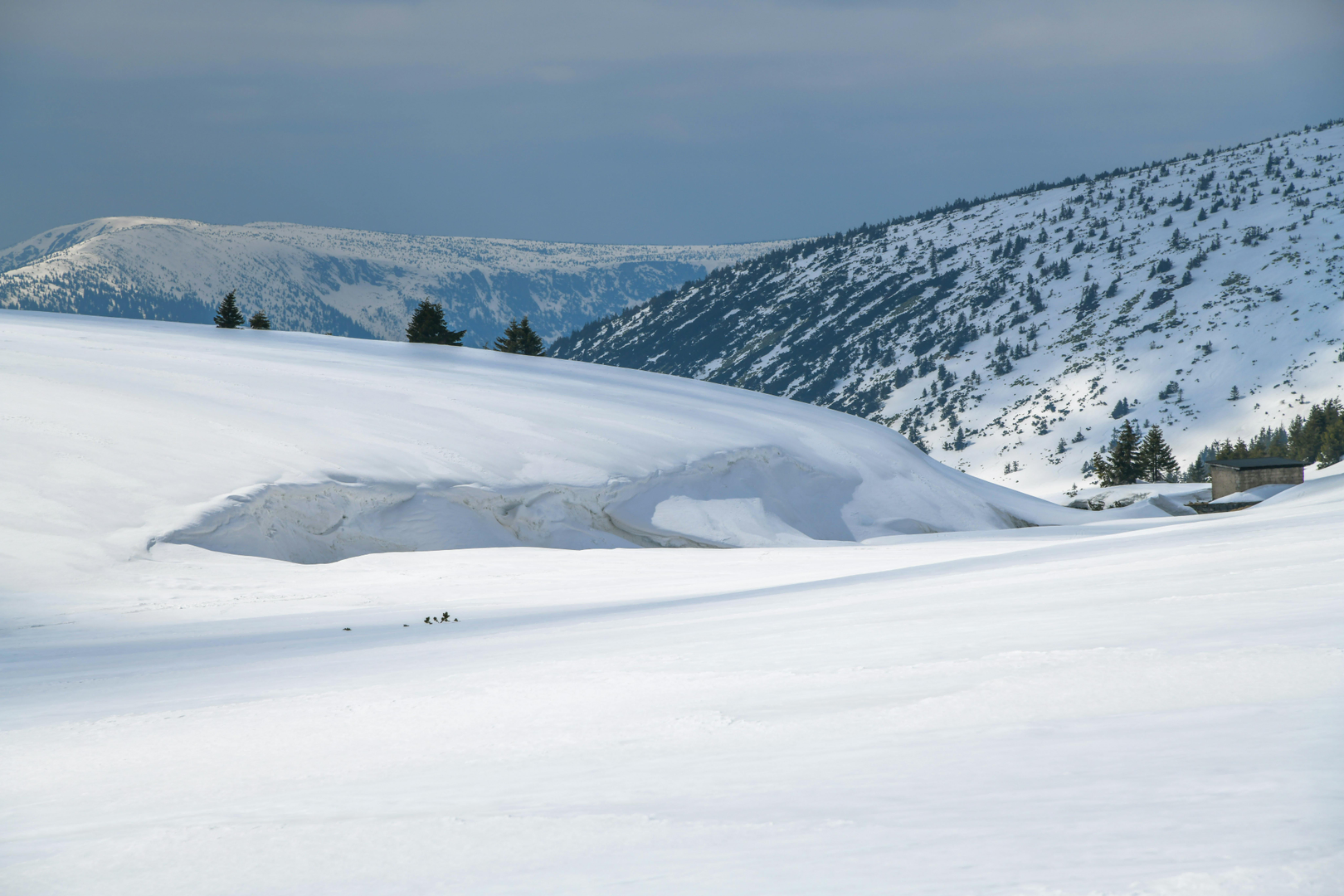 Skioplevelser i Krkonoše