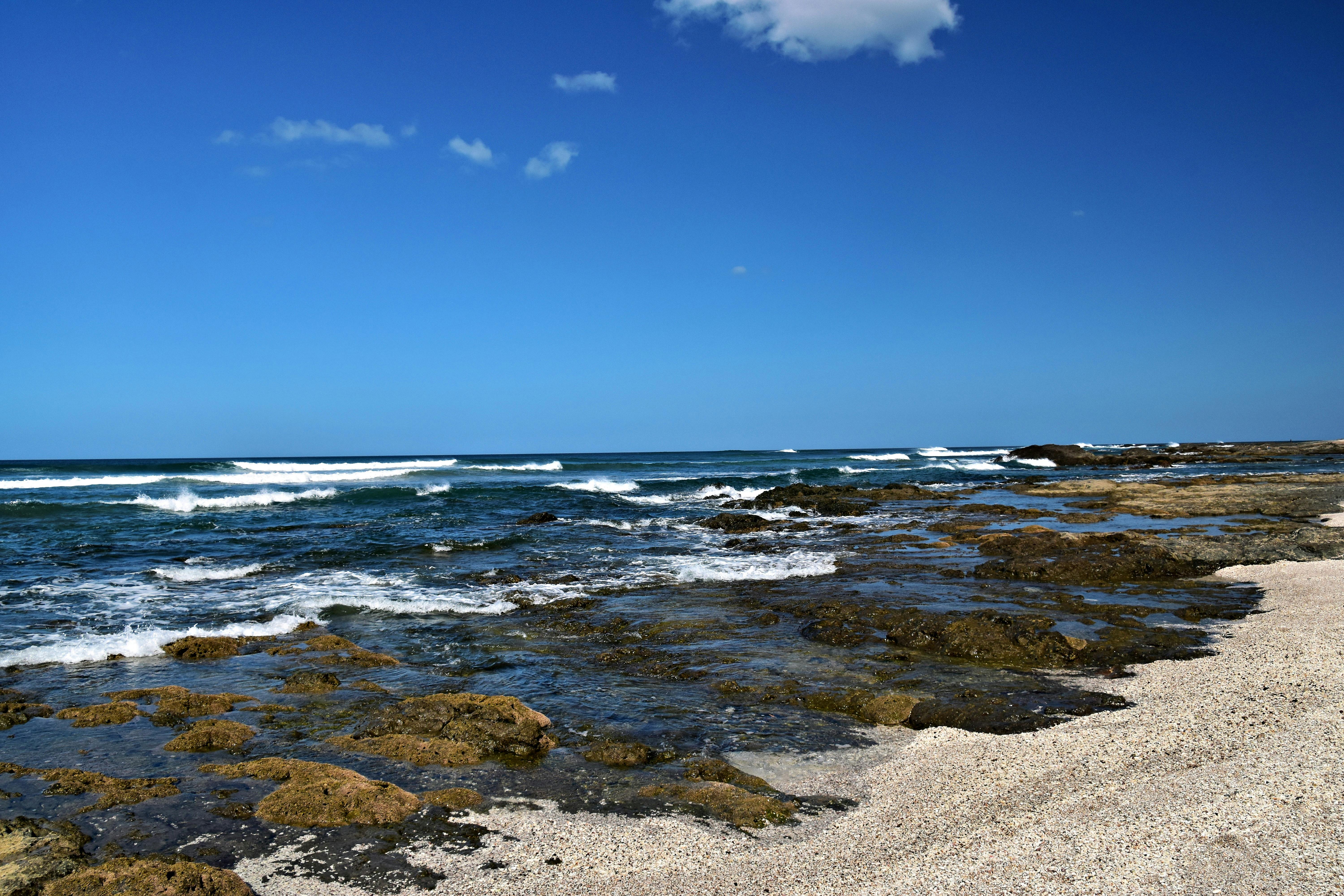 Tamarindo – Surf, Solnedgange og Eventyr