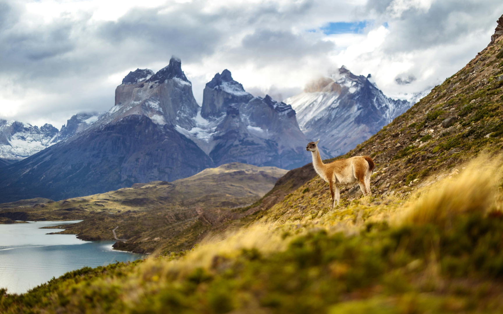 Torres del Paine – Patagoniens Naturvidunder