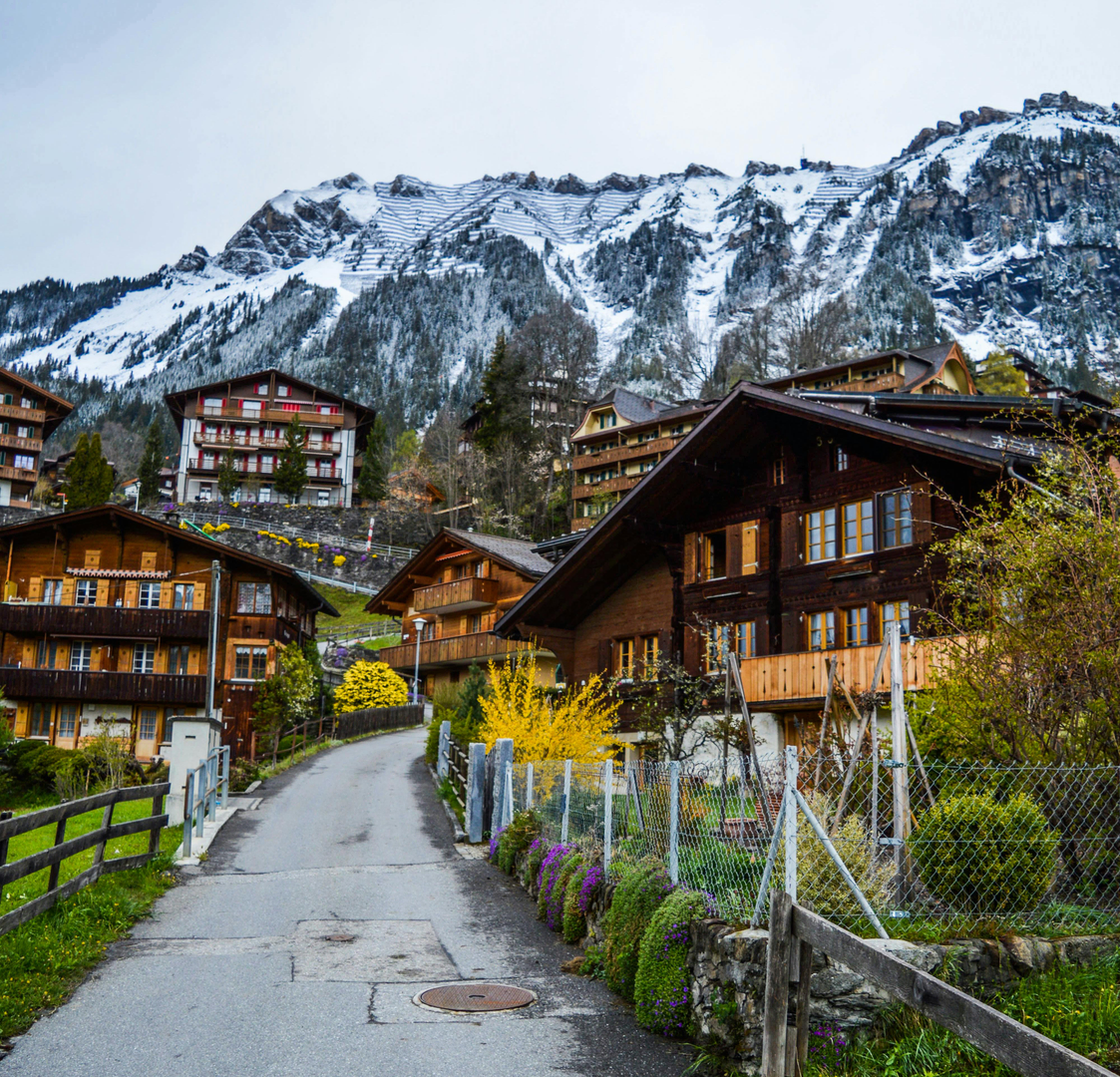 Traditionel Alpeferie