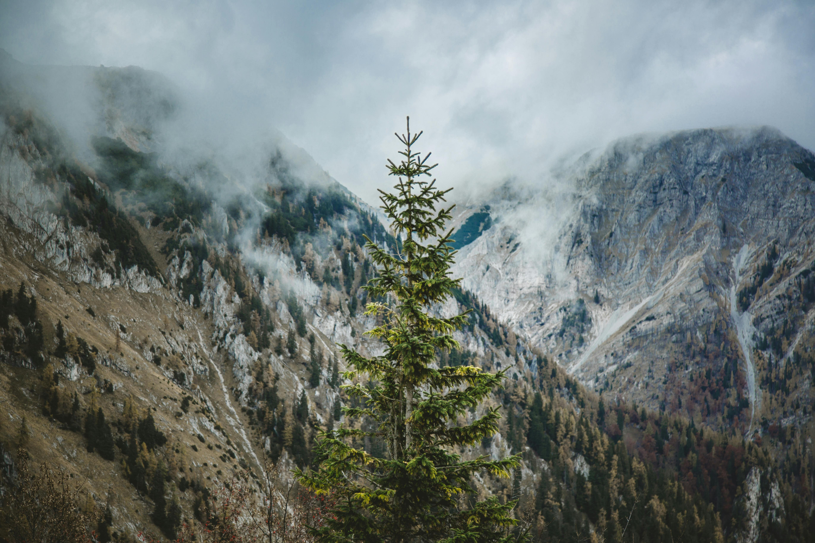 Vintereventyr i Tatra