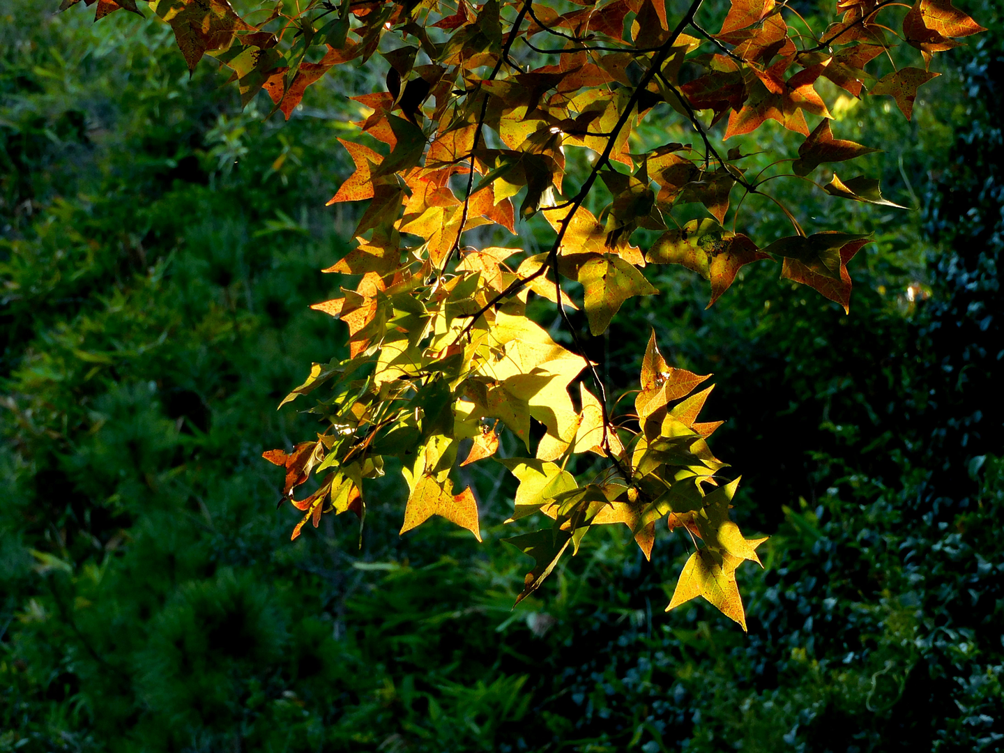 Et øjeblik – Ishigaki, Japan