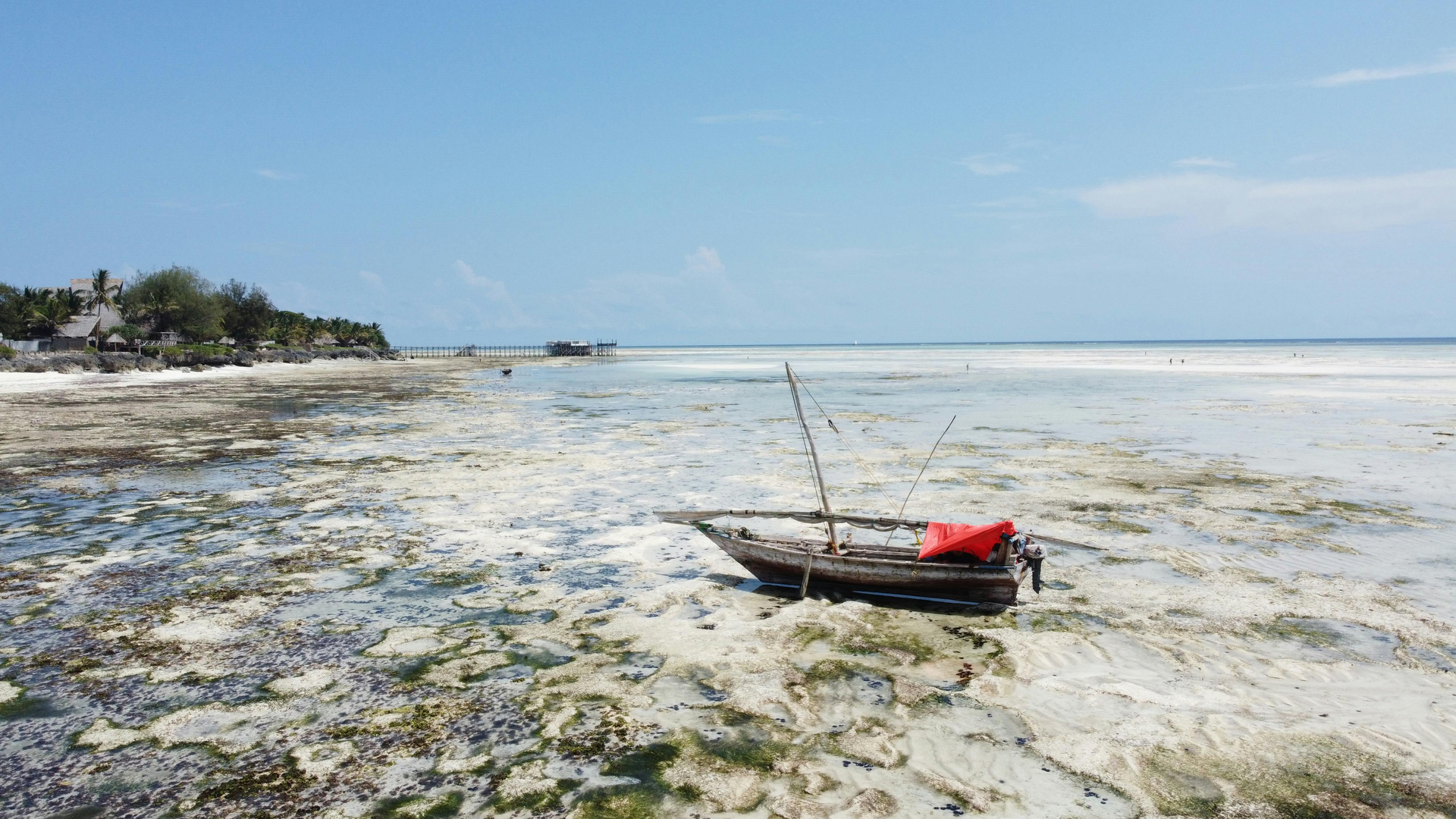 Et øjeblik med – Iriomote-øen, Japan