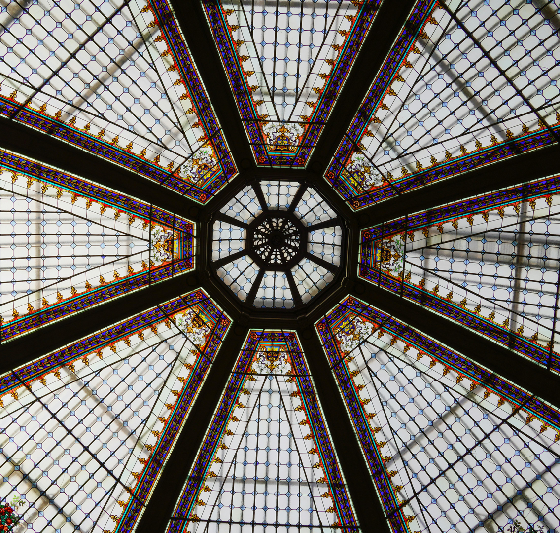 Jennis feltnoter fra Kroatien og Montenegro